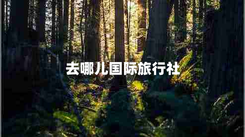 去哪兒國際旅行社