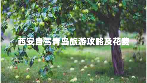 西安自駕青島旅游攻略及花費(fèi)