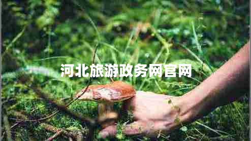 河北旅游政務(wù)網(wǎng)官網(wǎng)