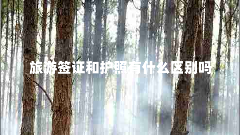 旅游簽證和護照有什么區(qū)別嗎