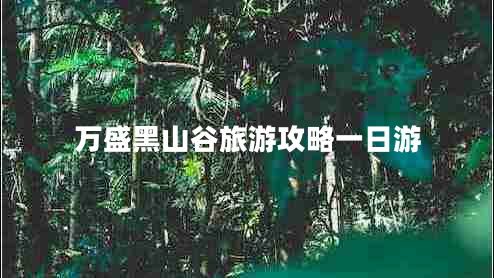 萬盛黑山谷旅游攻略一日游