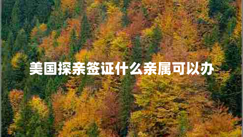 美國探親簽證什么親屬可以辦 美國探親簽證什么親屬可以辦