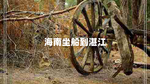 海南坐船到湛江