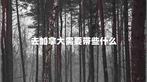 去加拿大需要帶些什么 去加拿大需要帶些什么