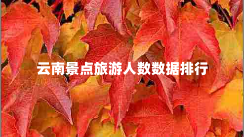 云南景點旅游人數(shù)數(shù)據(jù)排行