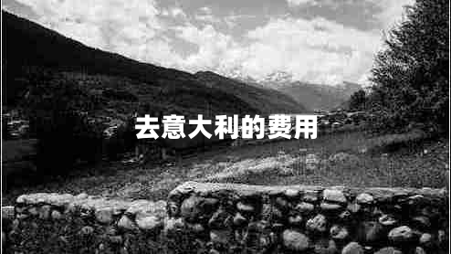 去意大利的費(fèi)用