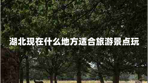 湖北現(xiàn)在什么地方適合旅游景點(diǎn)玩
