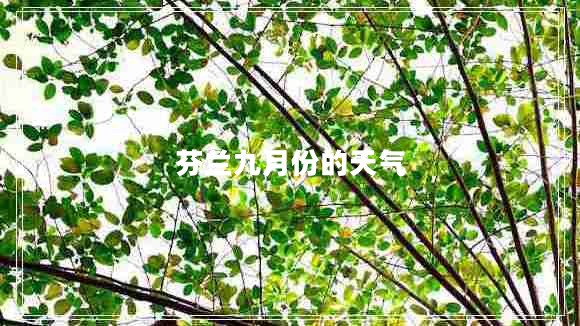 芬蘭九月份的天氣