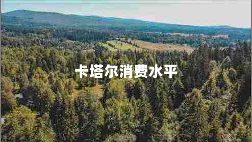 卡塔爾消費(fèi)水平