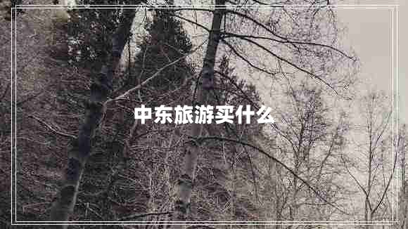 中東旅游買什么 中東旅游買什么