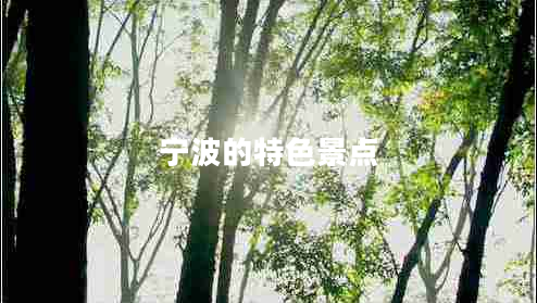 寧波的特色景點(diǎn)