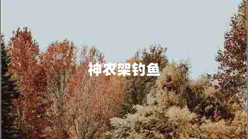 神農(nóng)架釣魚