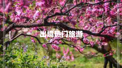 出境熱門旅游 出境熱門旅游