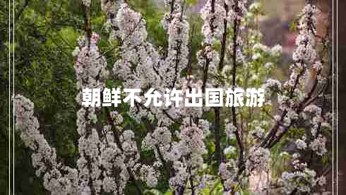朝鮮不允許出國旅游 朝鮮不允許出國旅游