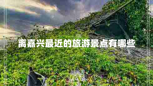 離嘉興最近的旅游景點(diǎn)有哪些