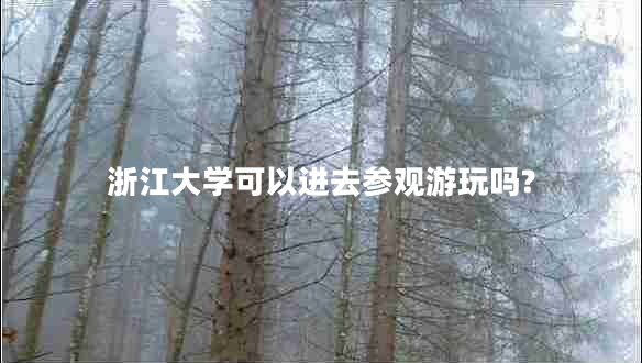 浙江大學(xué)可以進去參觀游玩嗎?