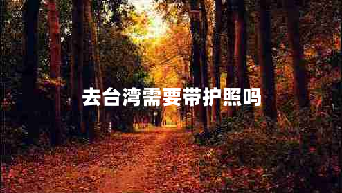 去臺(tái)灣需要帶護(hù)照嗎
