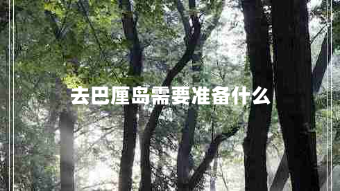 去巴厘島需要準(zhǔn)備什么