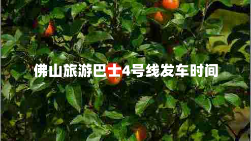 佛山旅游巴士4號(hào)線發(fā)車時(shí)間