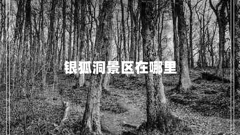 銀狐洞景區(qū)在哪里