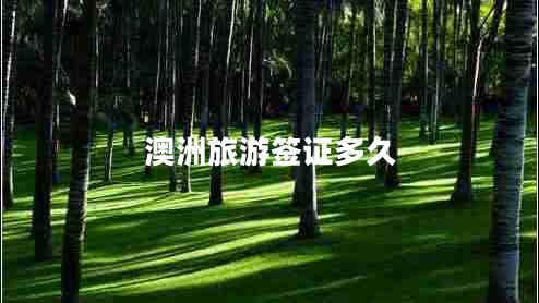 澳洲旅游簽證多久