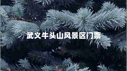 武義牛頭山風(fēng)景區(qū)門票