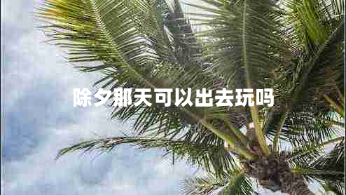 除夕那天可以出去玩嗎