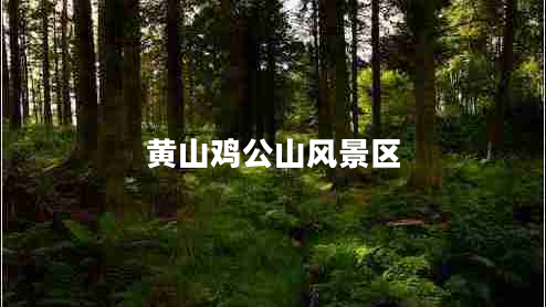 黃山雞公山風(fēng)景區(qū)