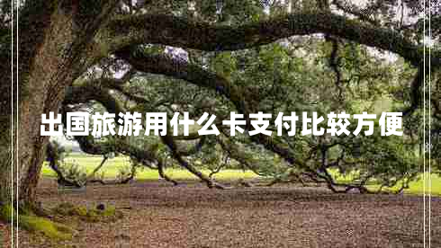 出國旅游用什么卡支付比較方便