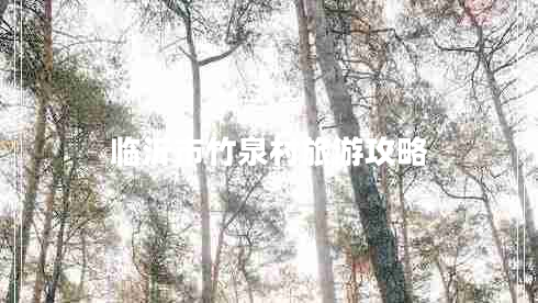 臨沂市竹泉村旅游攻略