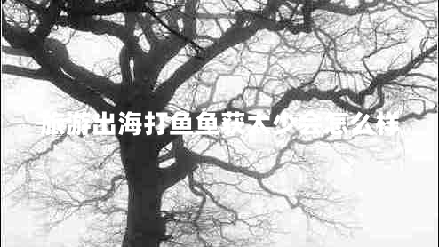 旅游出海打魚(yú)魚(yú)獲太少會(huì)怎么樣