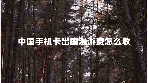 中國手機卡出國漫游費怎么收