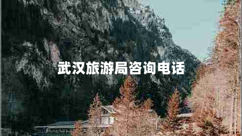武漢旅游局咨詢電話