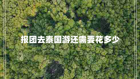 報(bào)團(tuán)去泰國游還需要花多少