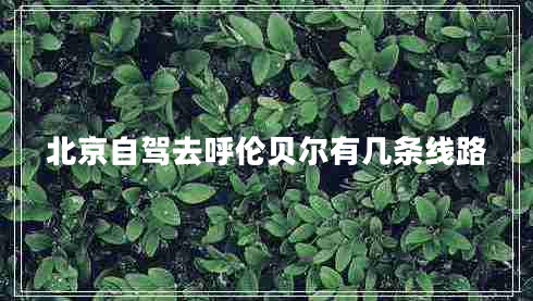 北京自駕去呼倫貝爾有幾條線路