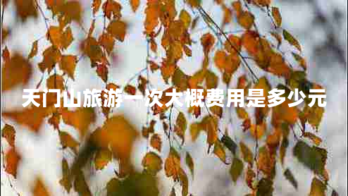 天門山旅游一次大概費用是多少元 天門山旅游一次大概費用是多少元