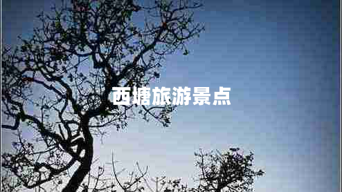 西塘旅游景點(diǎn)