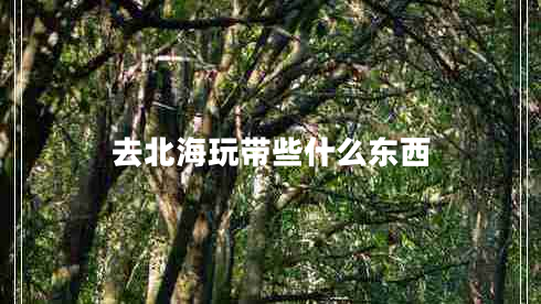 去北海玩帶些什么東西 去北海玩帶些什么東西