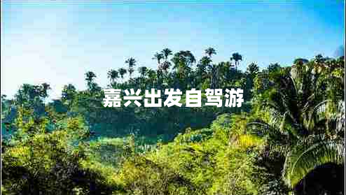 嘉興出發(fā)自駕游