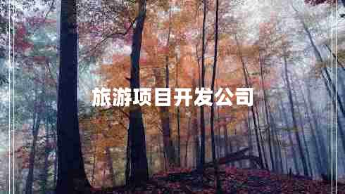 旅游項目開發(fā)公司