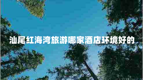 汕尾紅海灣旅游哪家酒店環(huán)境好的