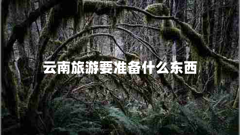 云南旅游要準(zhǔn)備什么東西