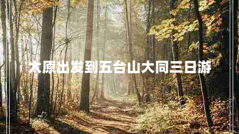 太原出發(fā)到五臺山大同三日游