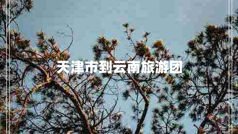 天津市到云南旅游團(tuán)