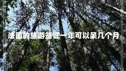法國的旅游簽證一年可以呆幾個月