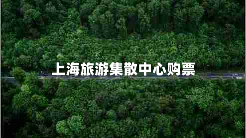 上海旅游集散中心購(gòu)票