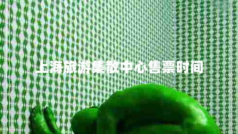 上海旅游集散中心售票時間