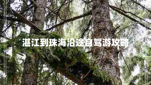 湛江到珠海沿途自駕游攻略