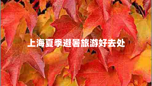 上海夏季避暑旅游好去處