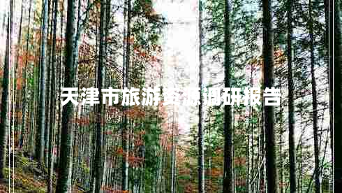 天津市旅游資源調(diào)研報告